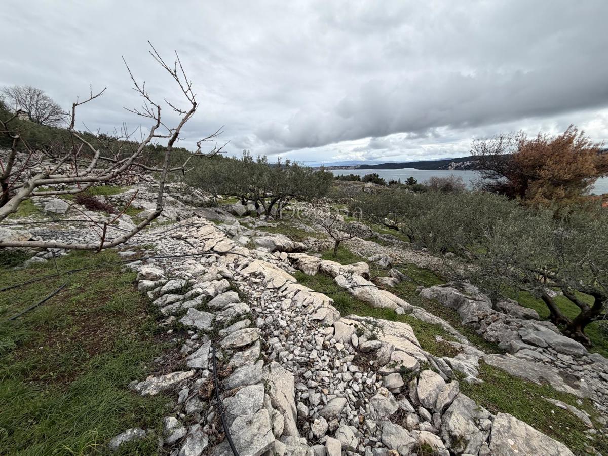 Terreno edificabile Seget Donji, Seget, 3.000m2