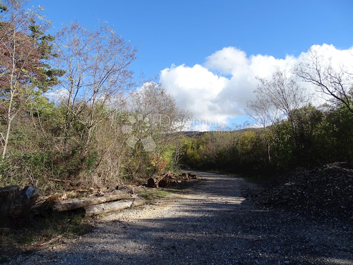 Terreno Lupoglav, 13.000m2