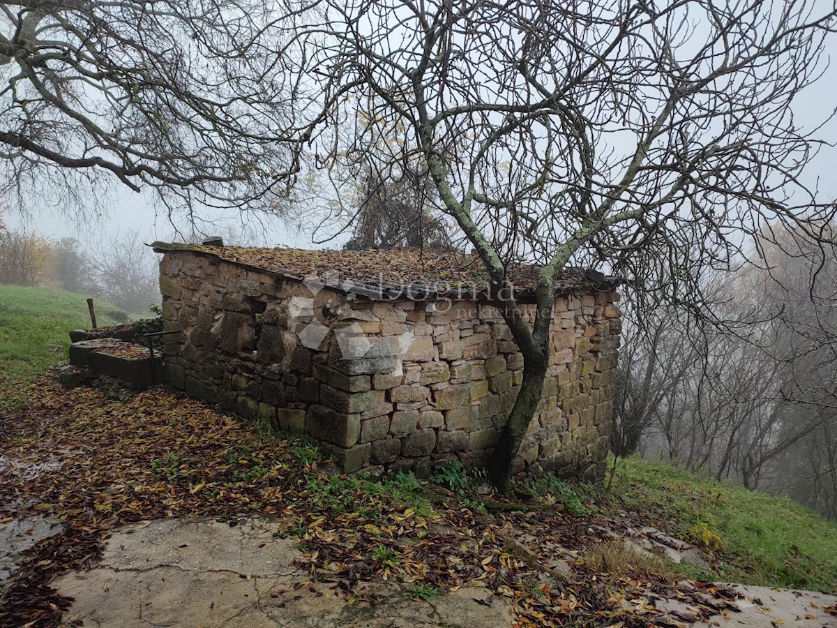 Casa Krti, Buzet, 200m2