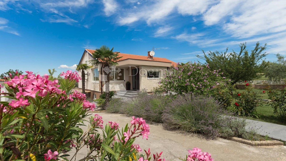 Casa Kaštelir, Kaštelir-Labinci, 150m2