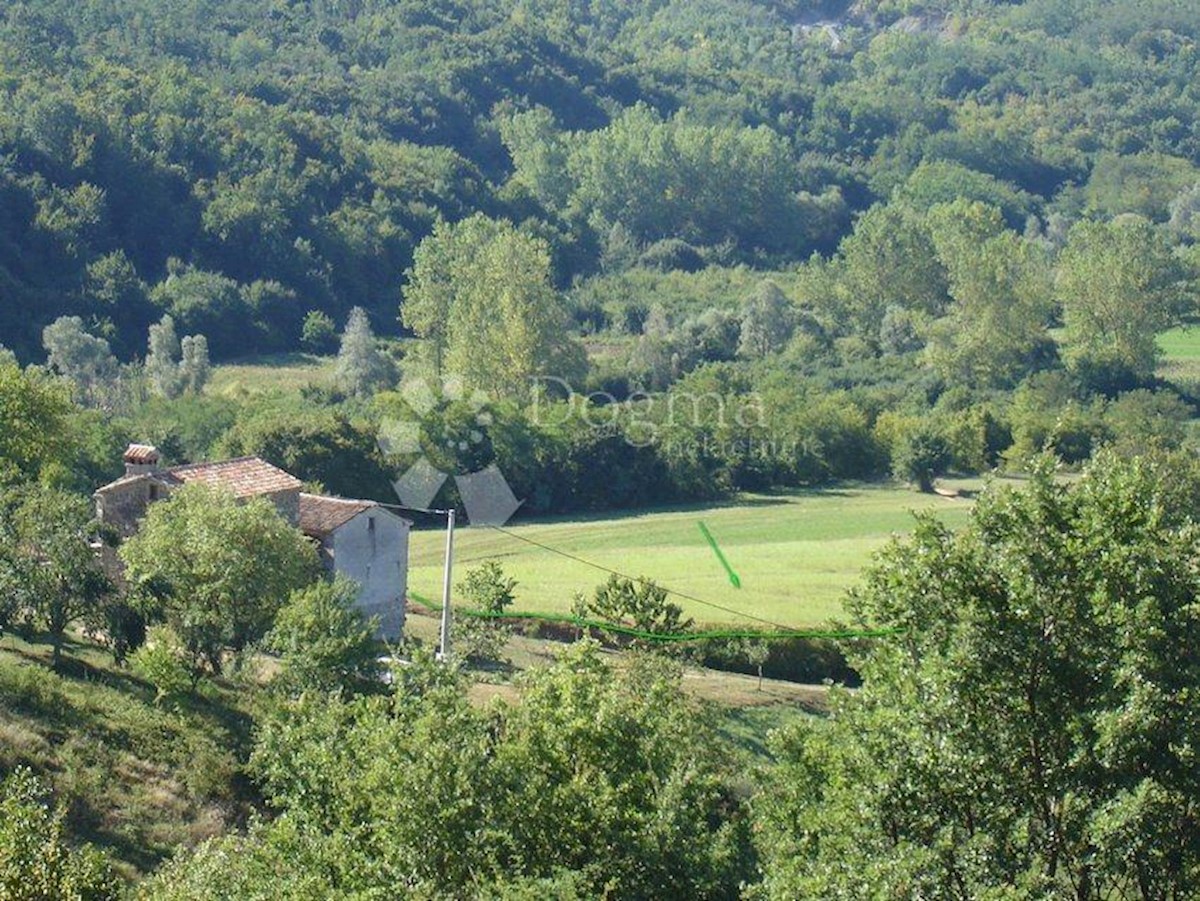 Terreno Novaki Motovunski, Karojba, 16.637m2