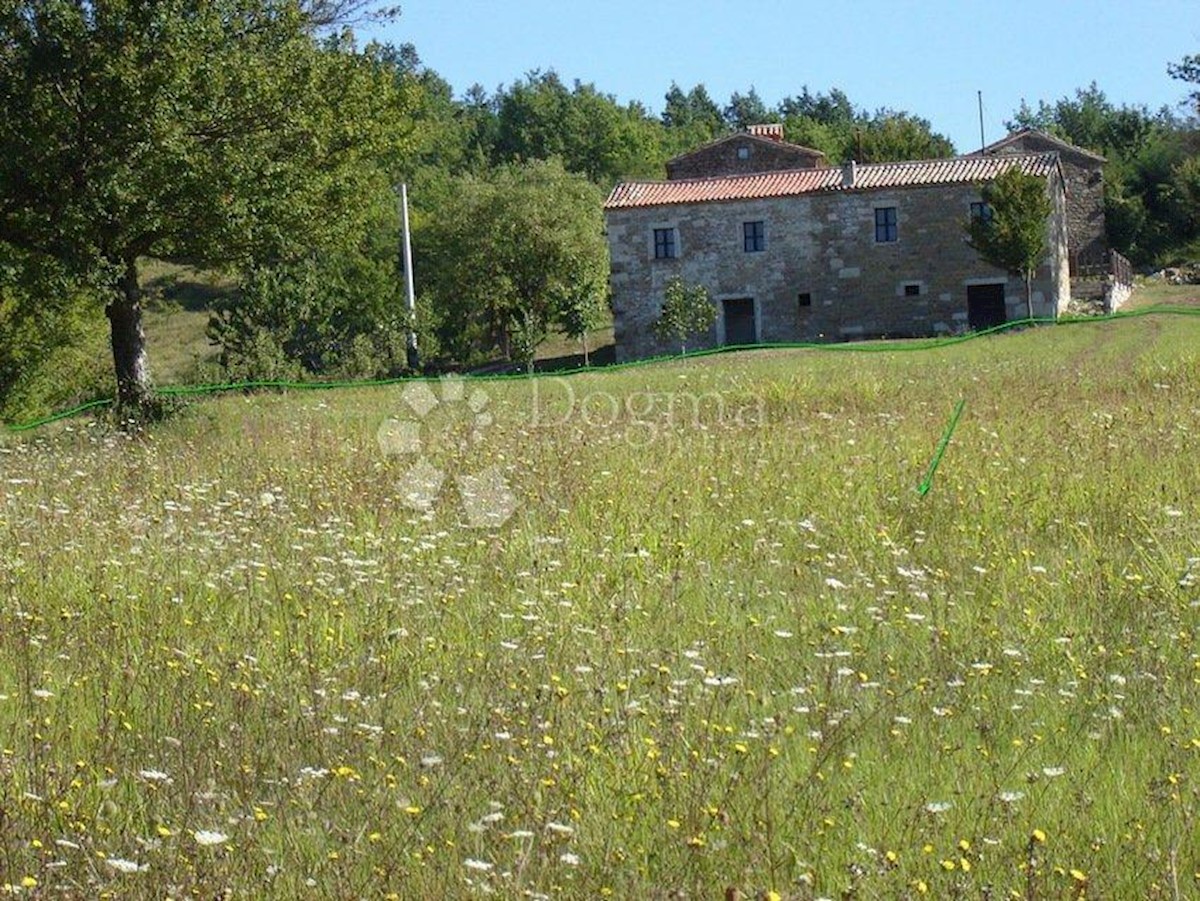 Terreno Novaki Motovunski, Karojba, 16.637m2