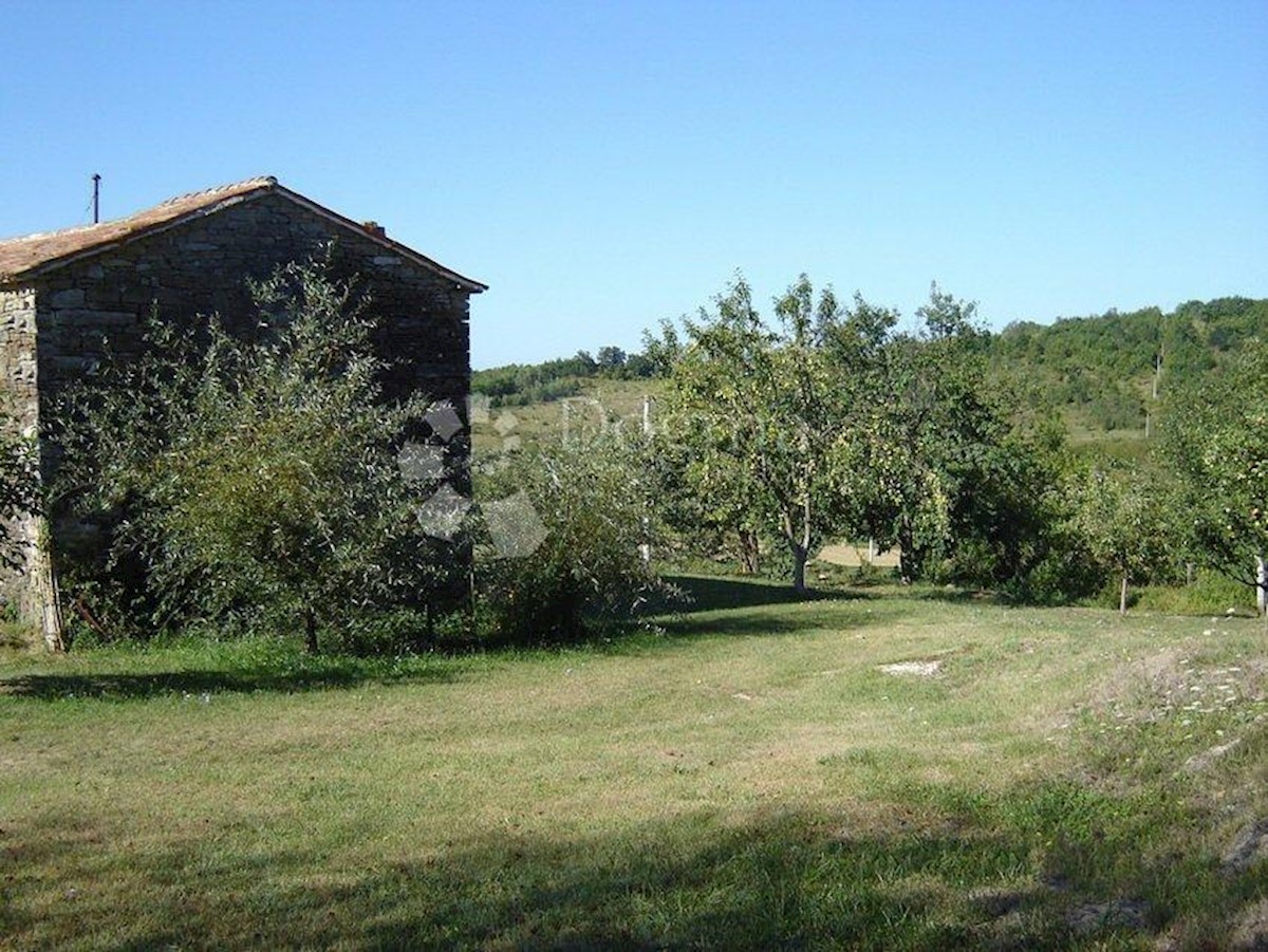 Terreno Novaki Motovunski, Karojba, 16.637m2