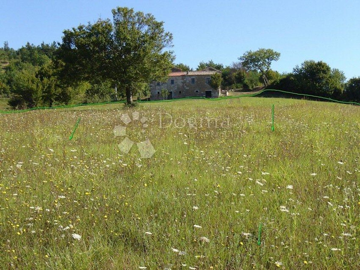 Terreno Novaki Motovunski, Karojba, 16.637m2