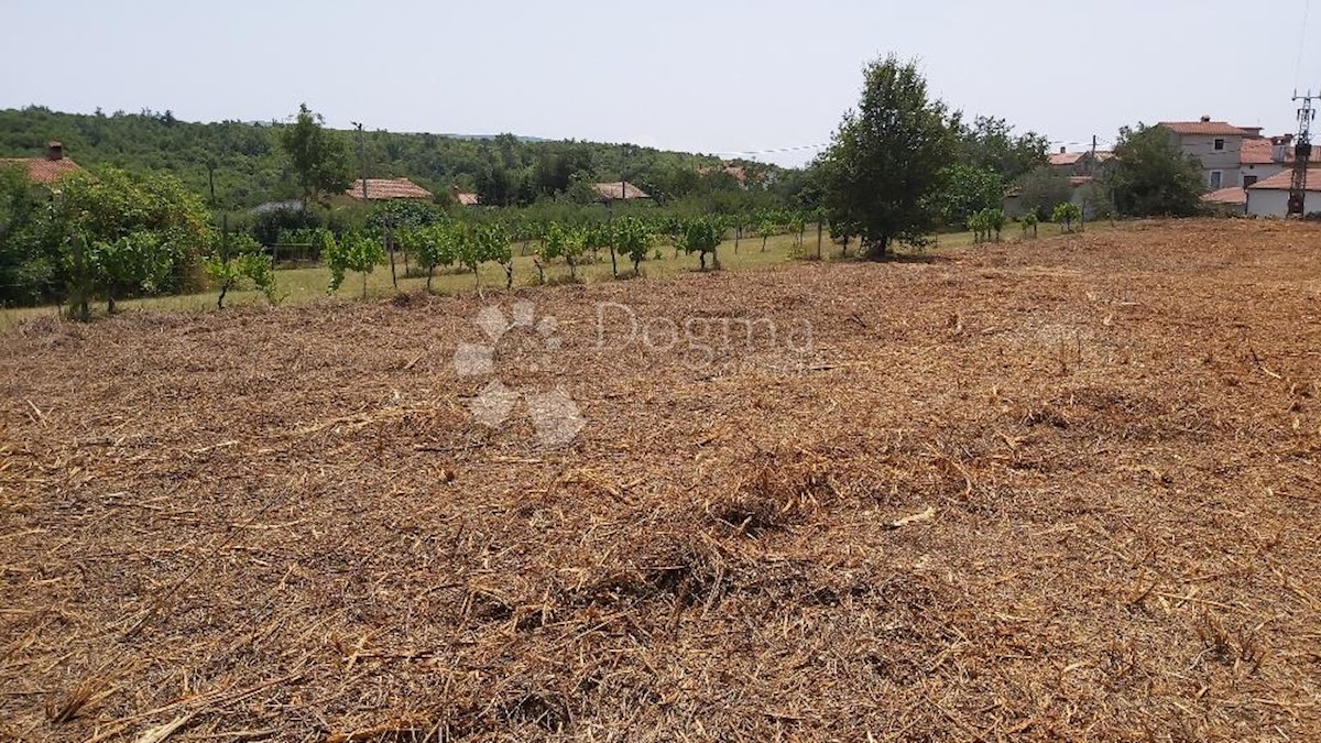 Terreno Labin, 1.980m2