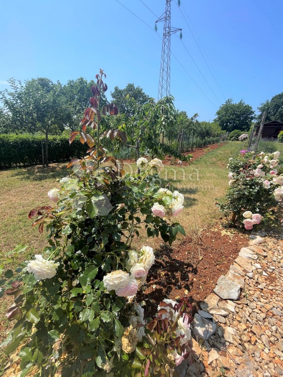 Terreno Fažana, 1.083m2