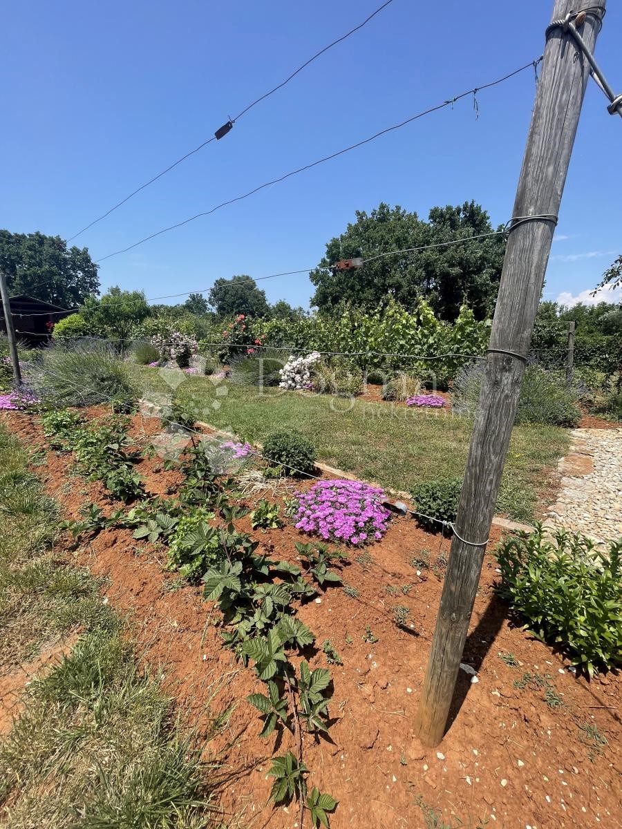 Terreno Fažana, 1.083m2