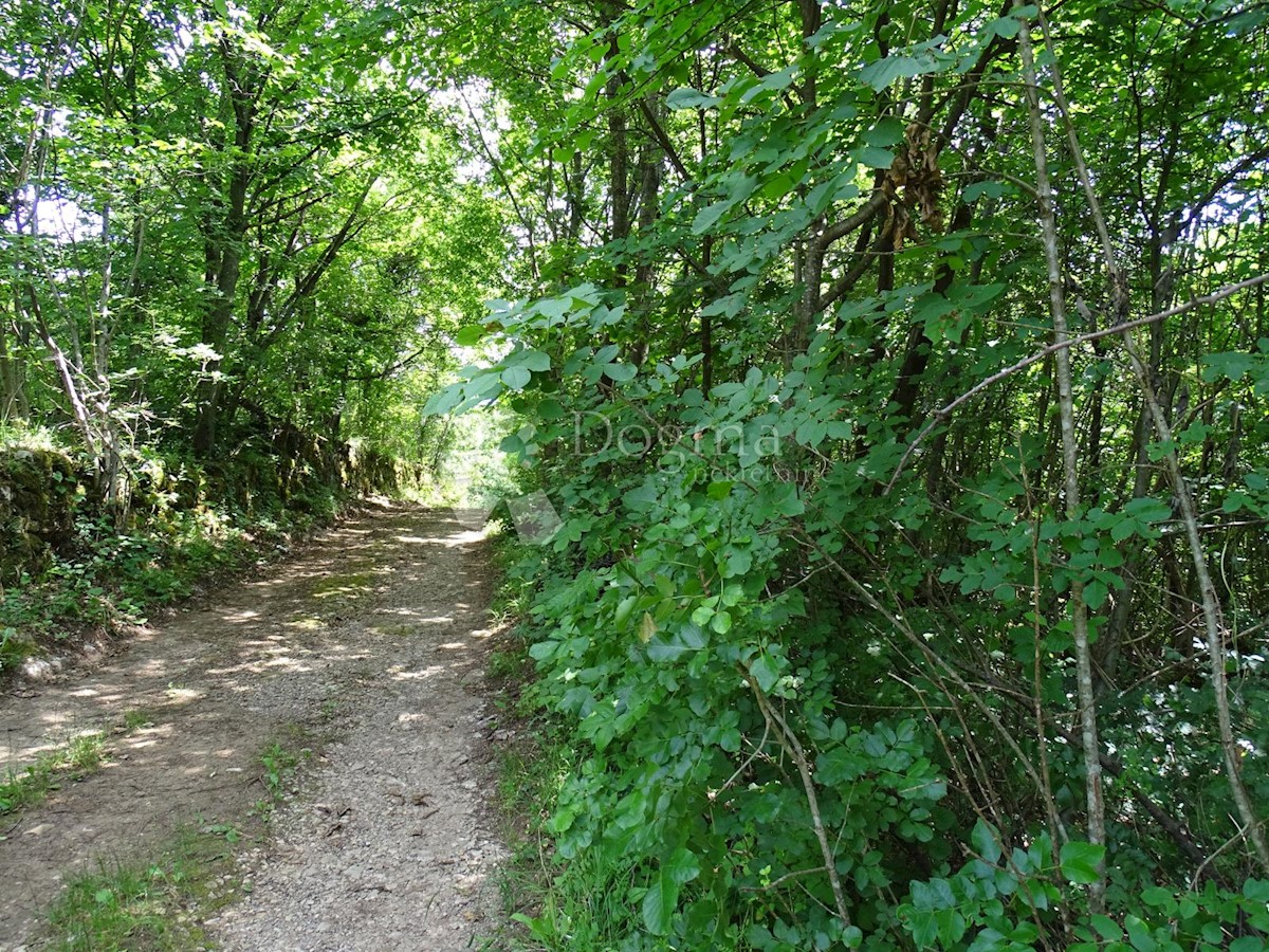 Terreno Saršoni, Viškovo, 4.000m2