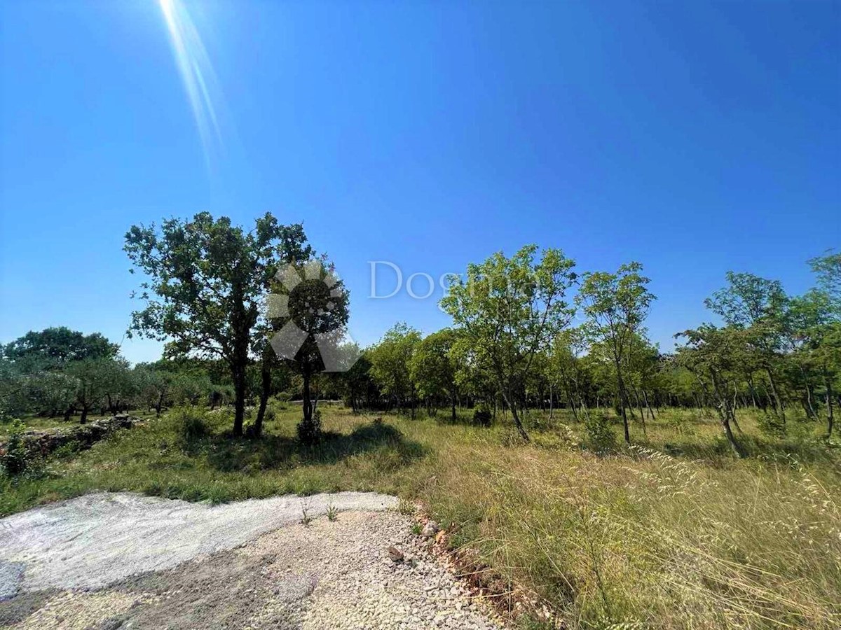 Terreno Barban, 1.246m2
