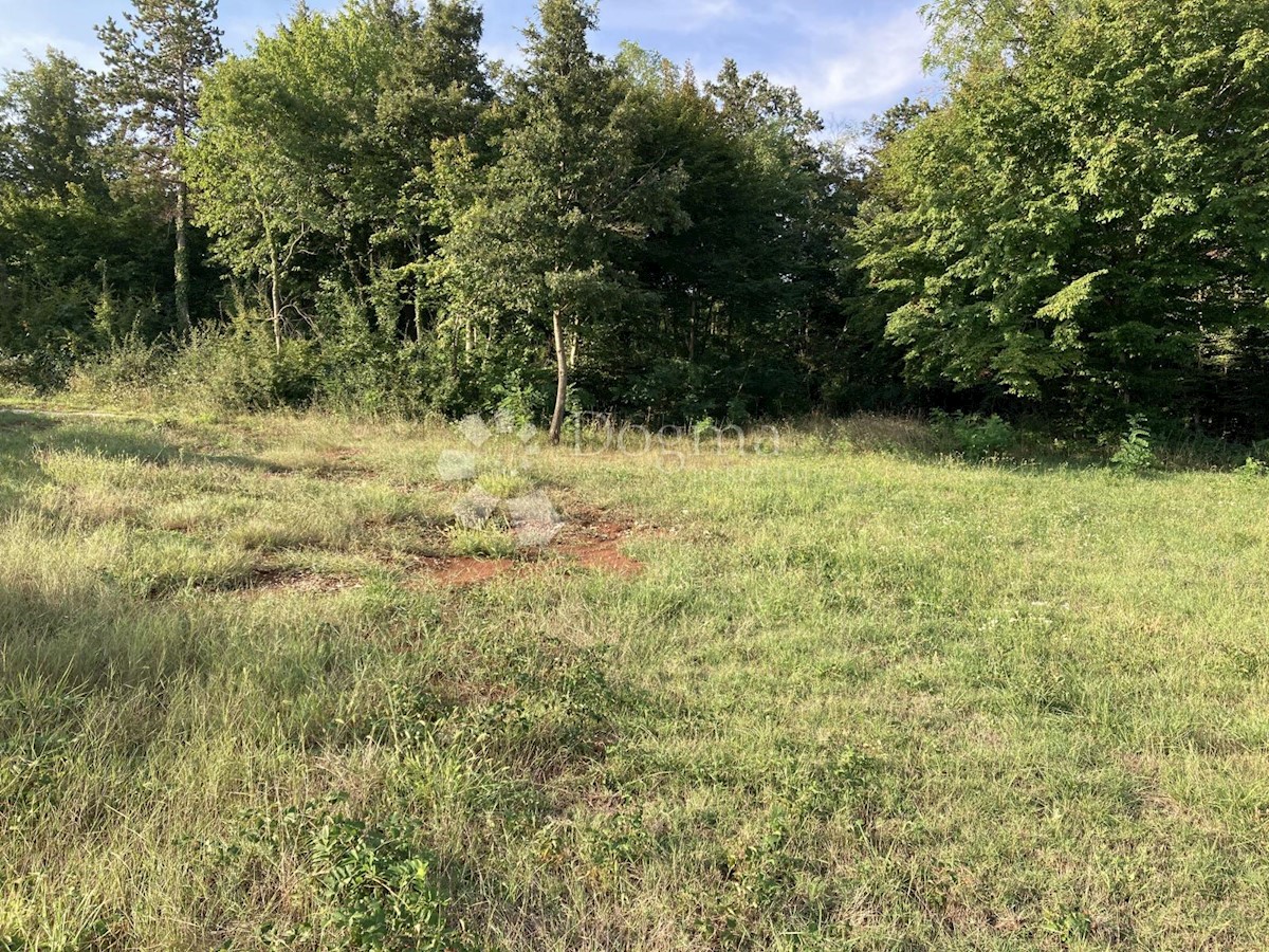 Terreno Barban, 3.260m2