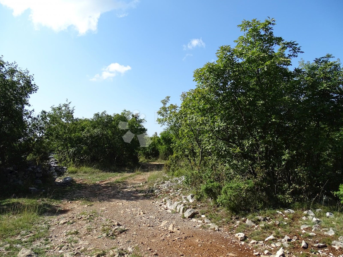 Terreno Mavrinci, Čavle, 3.136m2