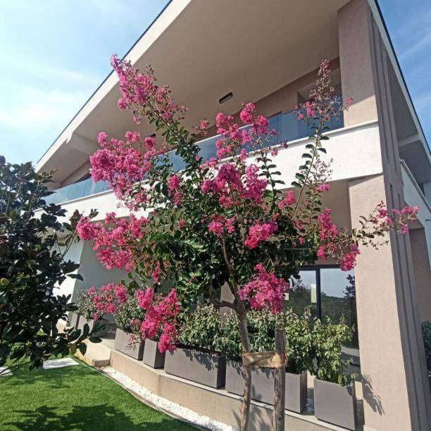 Villa con una bellissima vista sul mare! L'isola di Veglia!