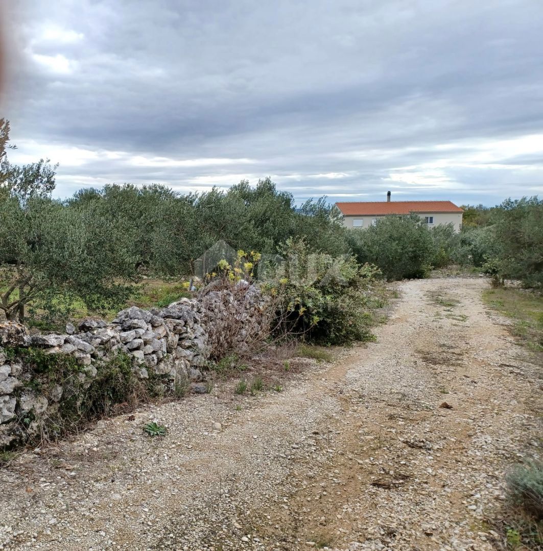 Terreno Kukljica, 2.000m2