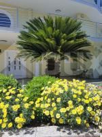 ZADAR, BRODARICA - Casa in ottima posizione, a 50 m dal mare