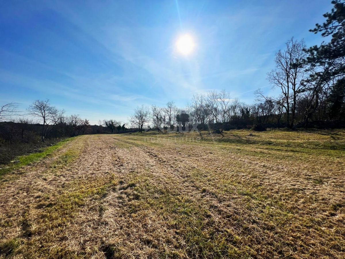ISTRIA, BUIE - Terreno appartato, ultimo nella zona di costruzione, vista su Buie e sul mare