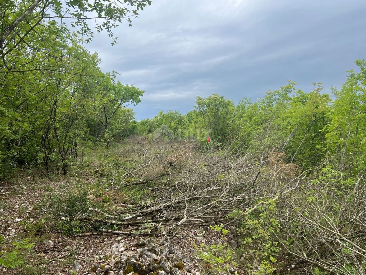 ISTRIA, LABIN - Terreno edificabile con vista sulla natura