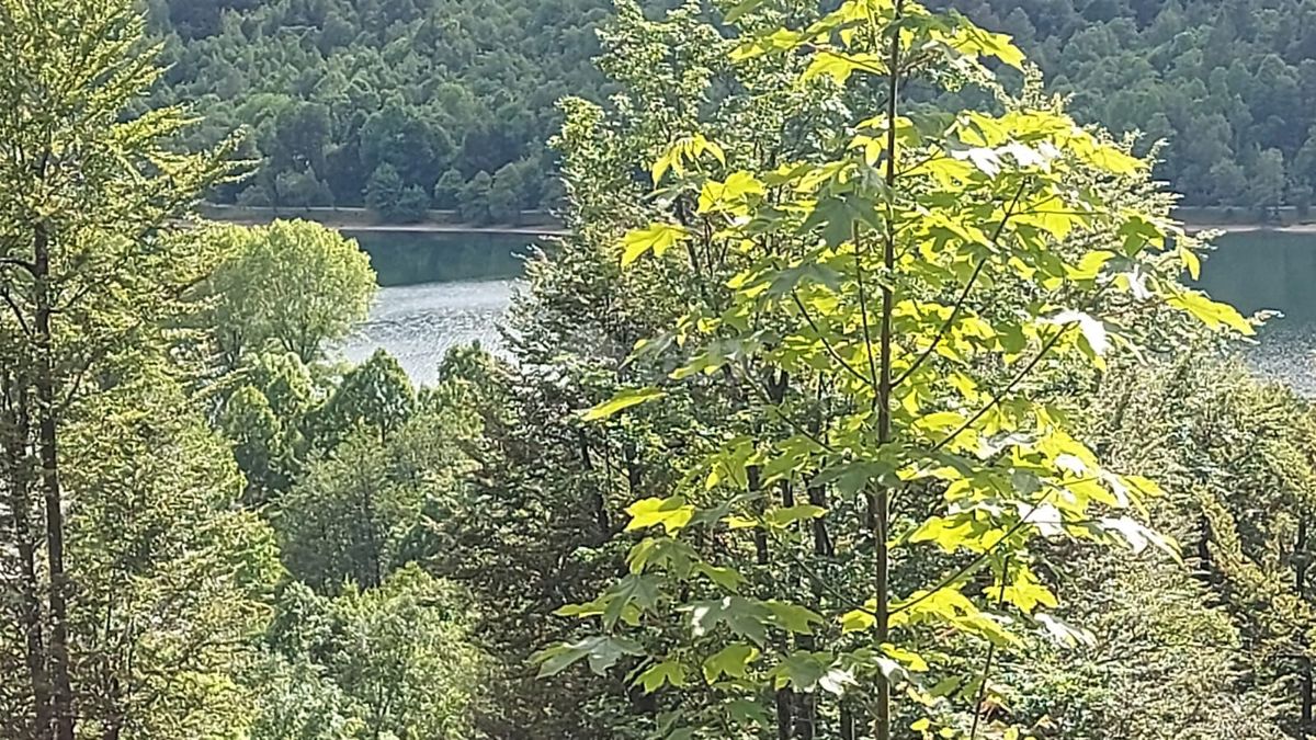 GORSKI KOTAR, FUŽINE - progetto unico nel cuore del Gorski kotar, terreno edificabile di 1197 m2 con progetto per una villa, opportunità di investimento!