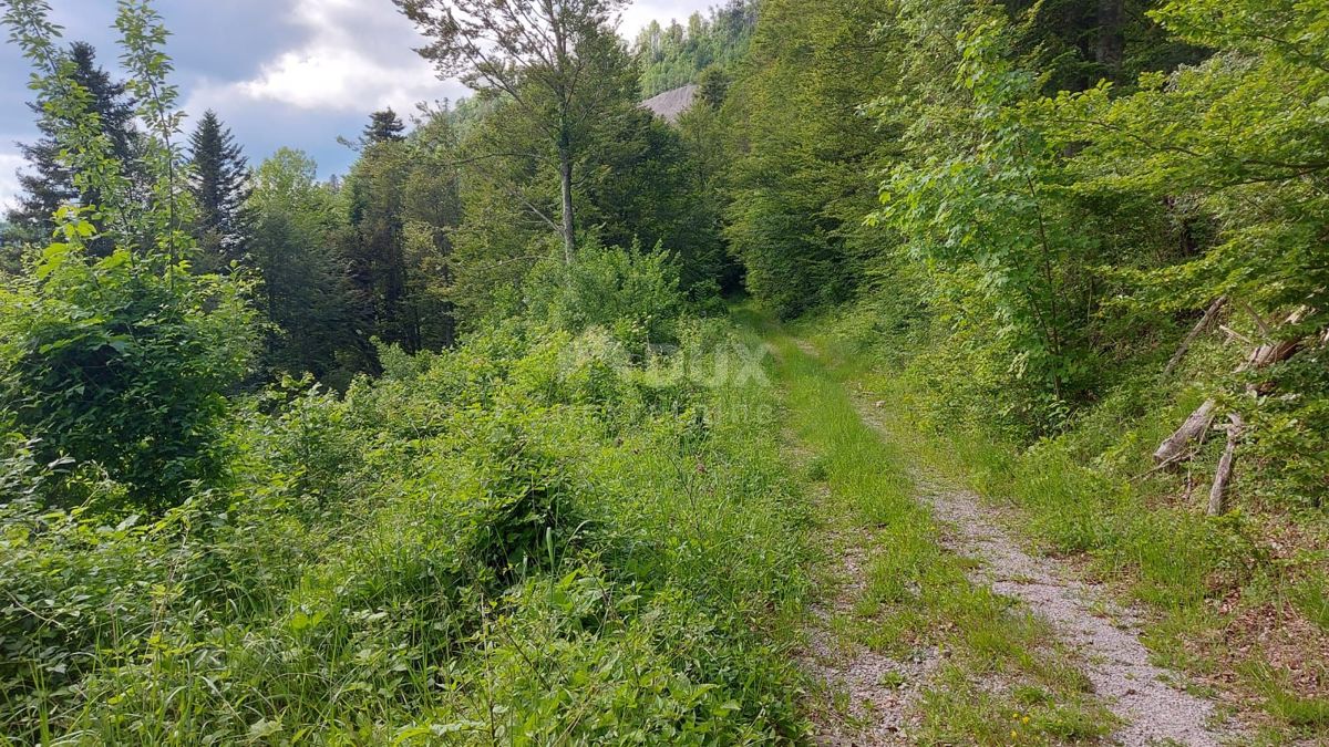 GORSKI KOTAR, FUŽINE - progetto unico nel cuore del Gorski kotar, terreno edificabile di 1197 m2 con progetto per una villa, opportunità di investimento!