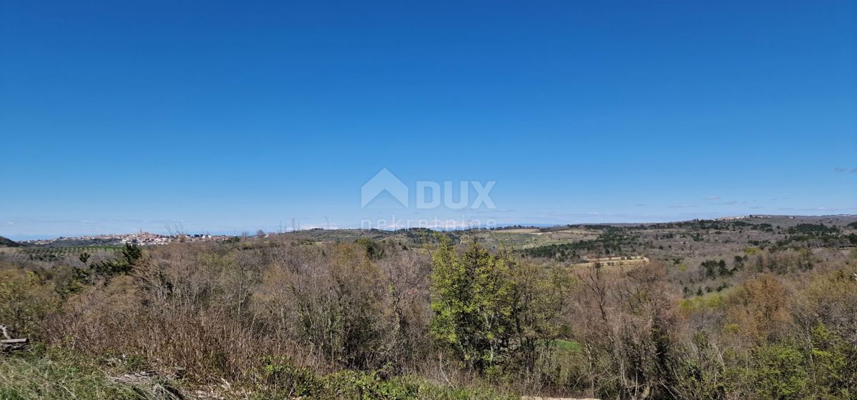 ISTRIA, BUJE - Terreno edificabile in posizione incantevole con vista panoramica