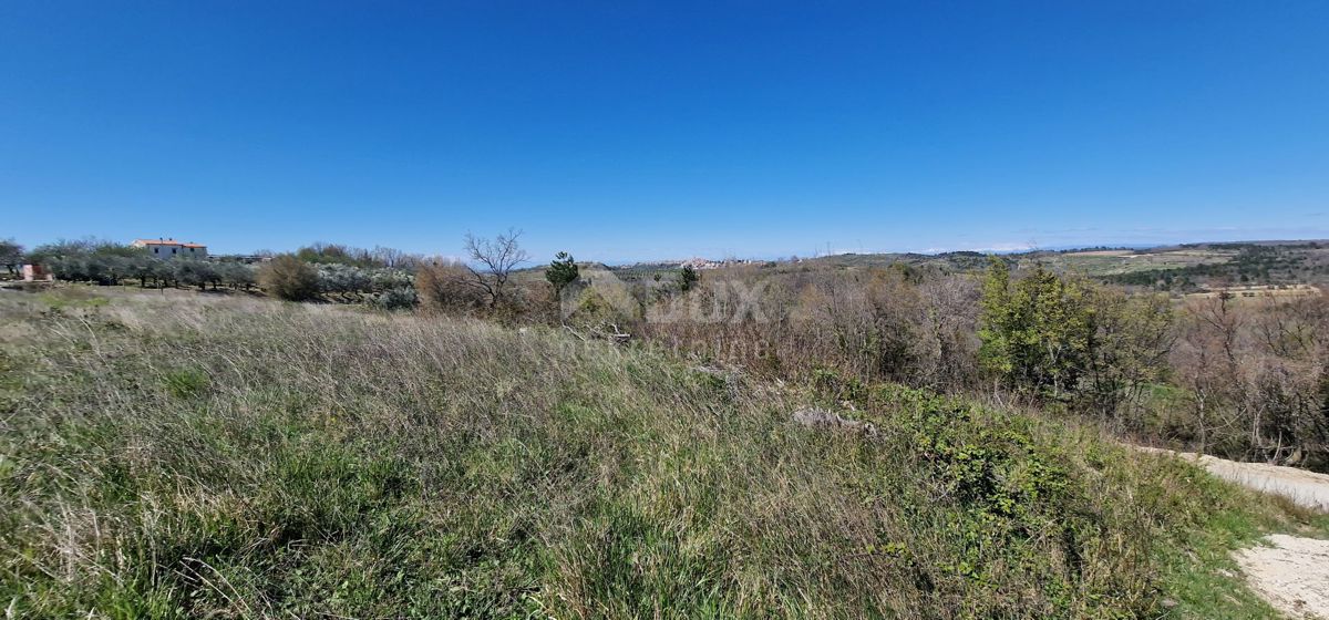 ISTRIA, BUJE - Terreno edificabile in posizione incantevole con vista panoramica