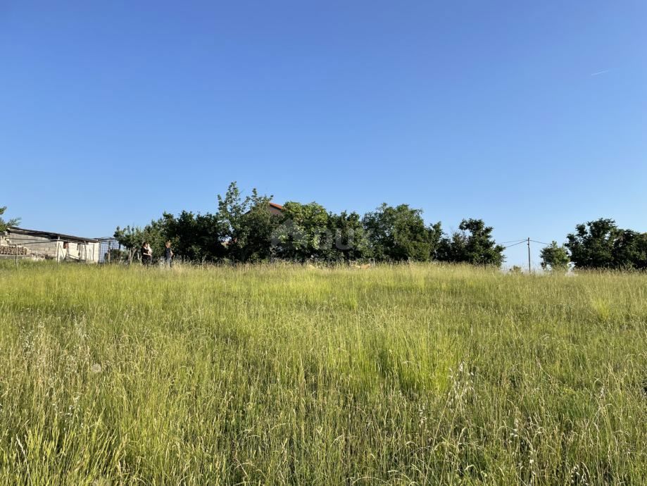 ISTRIA, BUJE - Terreno edificabile in posizione incantevole con vista panoramica