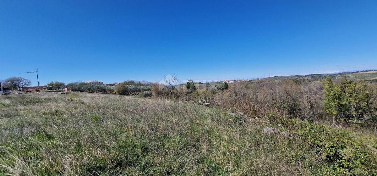 ISTRIA, BUJE - Terreno edificabile in posizione incantevole con vista panoramica