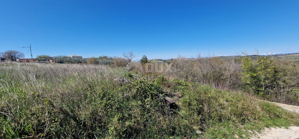 ISTRIA, BUJE - Terreno edificabile in posizione incantevole con vista panoramica