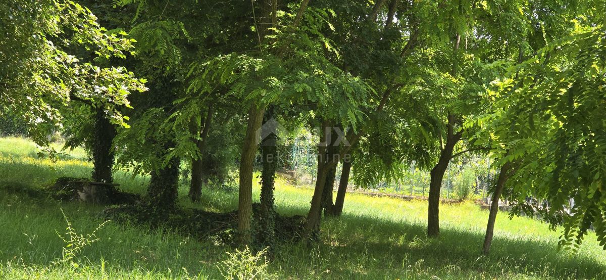 Terreno Grožnjan, 1.300m2