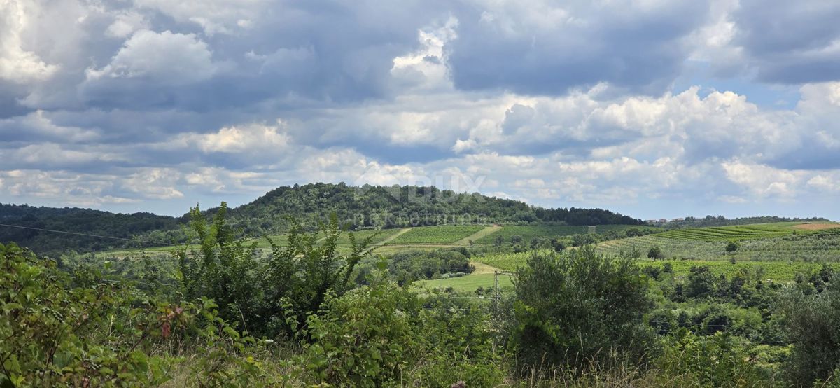 ISTRIA, BUJE - Terreno edificabile ai margini della zona edificabile, vista panoramica