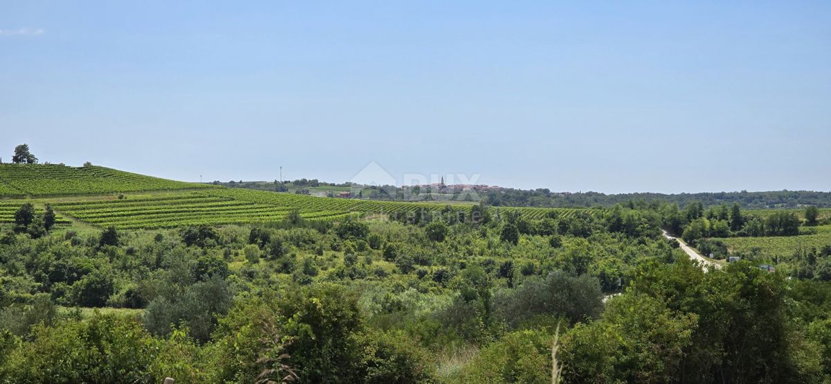 ISTRIA, BUJE - Terreno edificabile ai margini della zona edificabile, vista panoramica