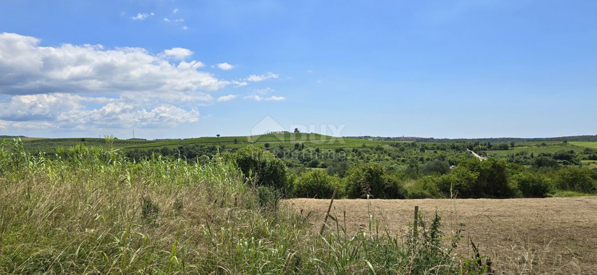 ISTRIA, BUJE - Terreno edificabile ai margini della zona edificabile, vista panoramica