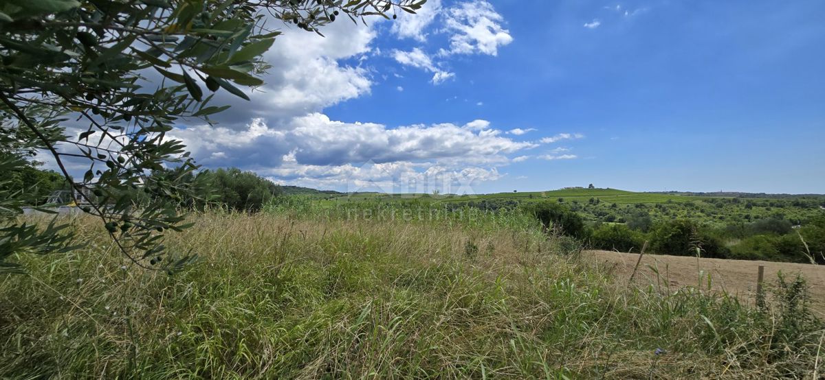 ISTRIA, BUJE - Terreno edificabile ai margini della zona edificabile, vista panoramica