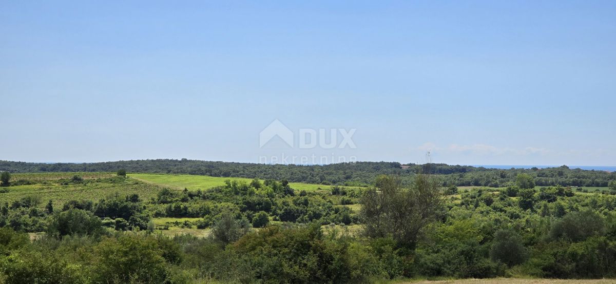 ISTRIA, BUJE - Terreno edificabile ai margini della zona edificabile, vista panoramica