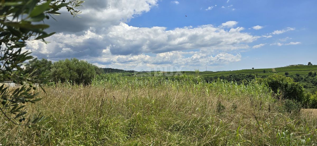 ISTRIA, BUJE - Terreno edificabile ai margini della zona edificabile, vista panoramica