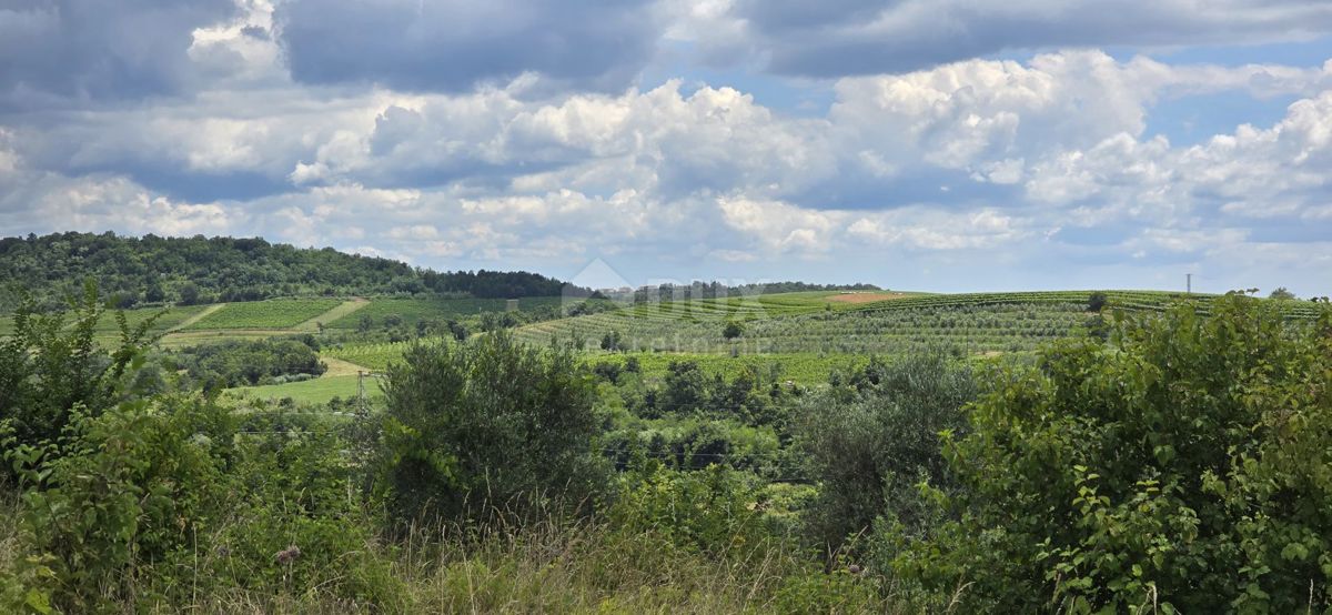 ISTRIA, BUJE - Terreno edificabile ai margini della zona edificabile, vista panoramica