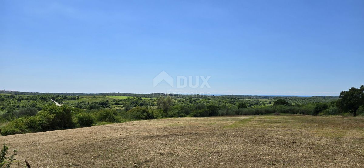 ISTRIA, BUJE - Terreno edificabile ai margini della zona edificabile, vista panoramica