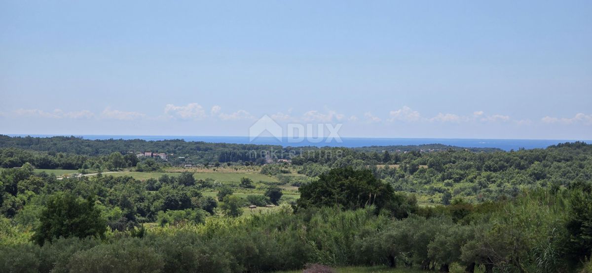 ISTRIA, BUJE - Terreno edificabile ai margini della zona edificabile, vista panoramica