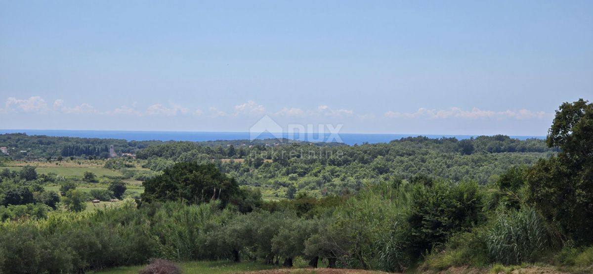 ISTRIA, BUJE - Terreno edificabile ai margini della zona edificabile, vista panoramica