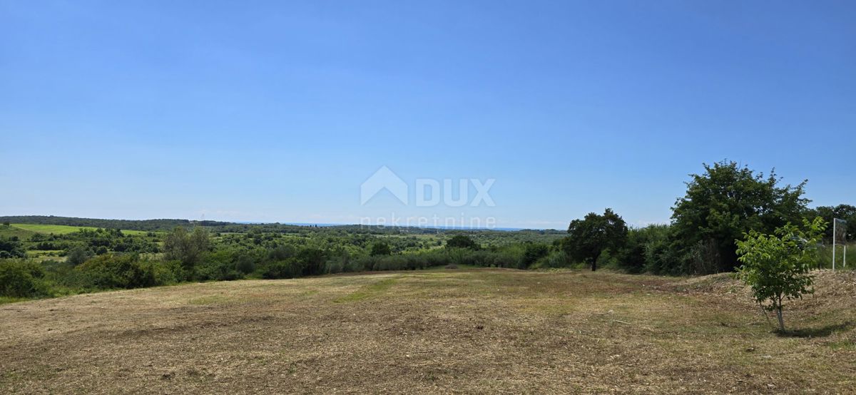 ISTRIA, BUJE - Terreno edificabile ai margini della zona edificabile, vista panoramica