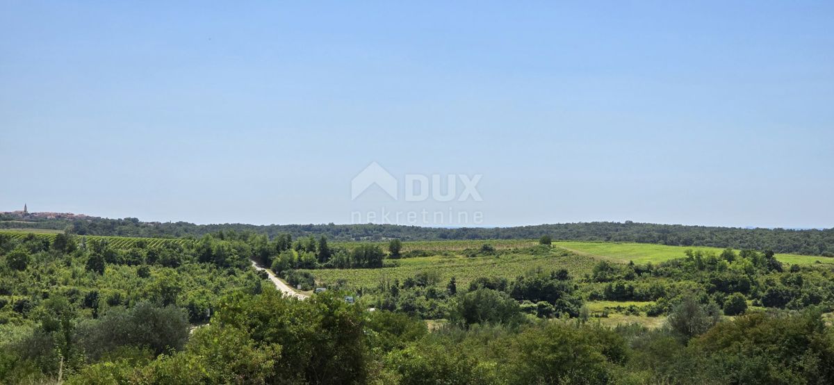 ISTRIA, BUJE - Terreno edificabile ai margini della zona edificabile, vista panoramica