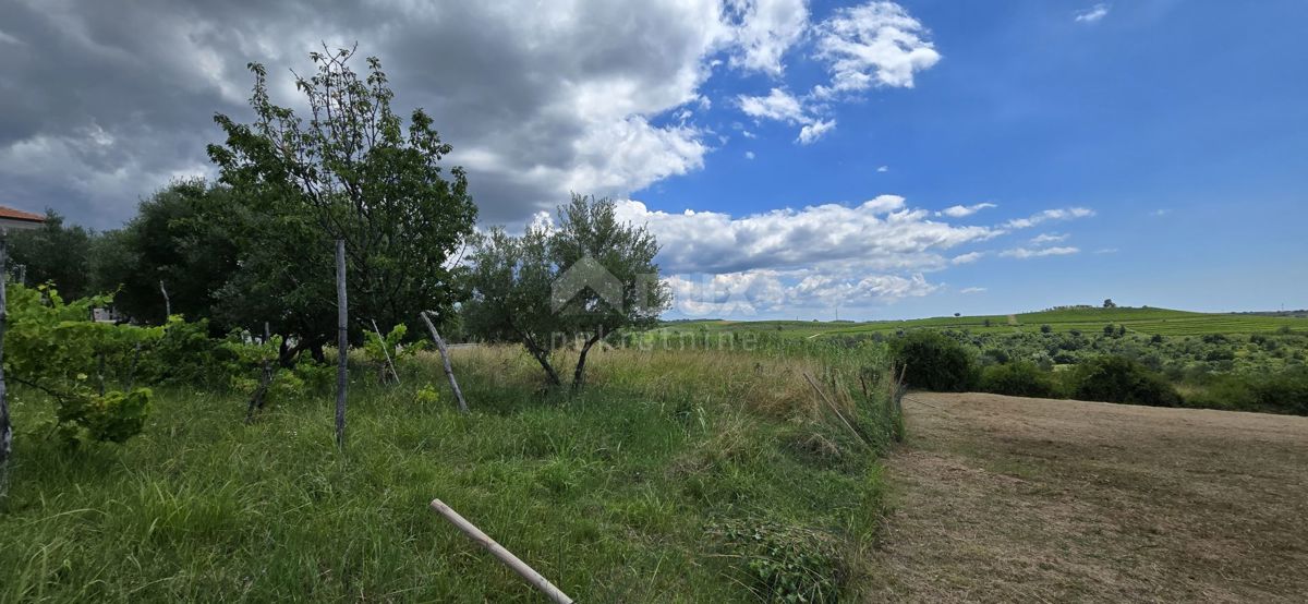 ISTRIA, BUJE - Terreno edificabile ai margini della zona edificabile, vista panoramica