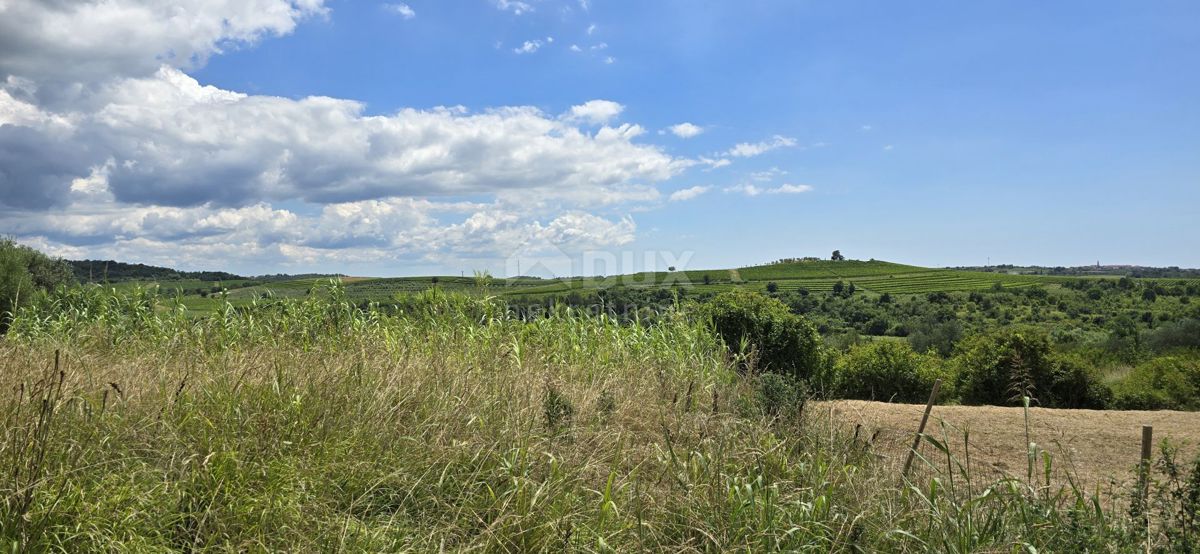 ISTRIA, BUJE - Terreno edificabile ai margini della zona edificabile, vista panoramica