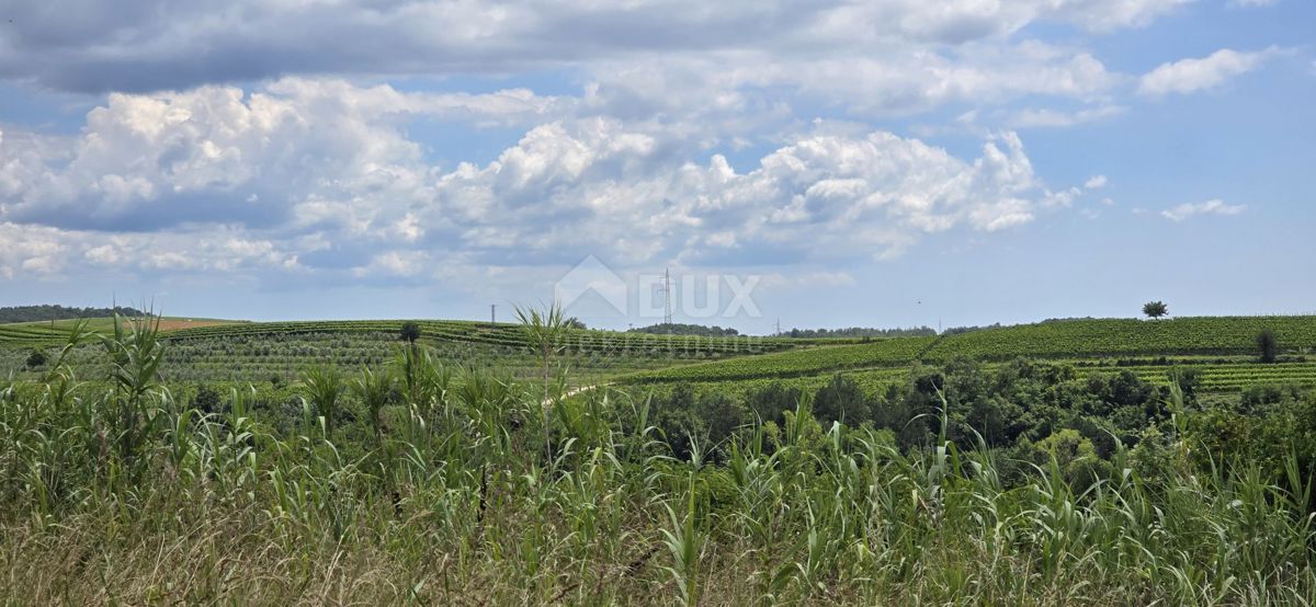 ISTRIA, BUJE - Terreno edificabile ai margini della zona edificabile, vista panoramica