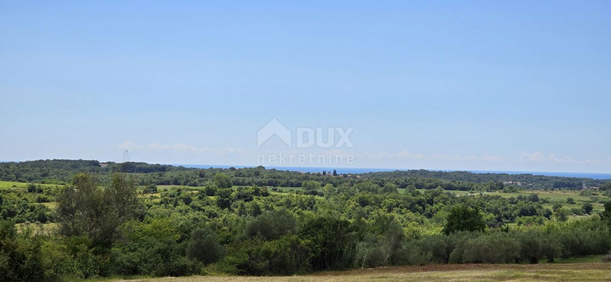 ISTRIA, BUJE - Terreno edificabile ai margini della zona edificabile, vista panoramica