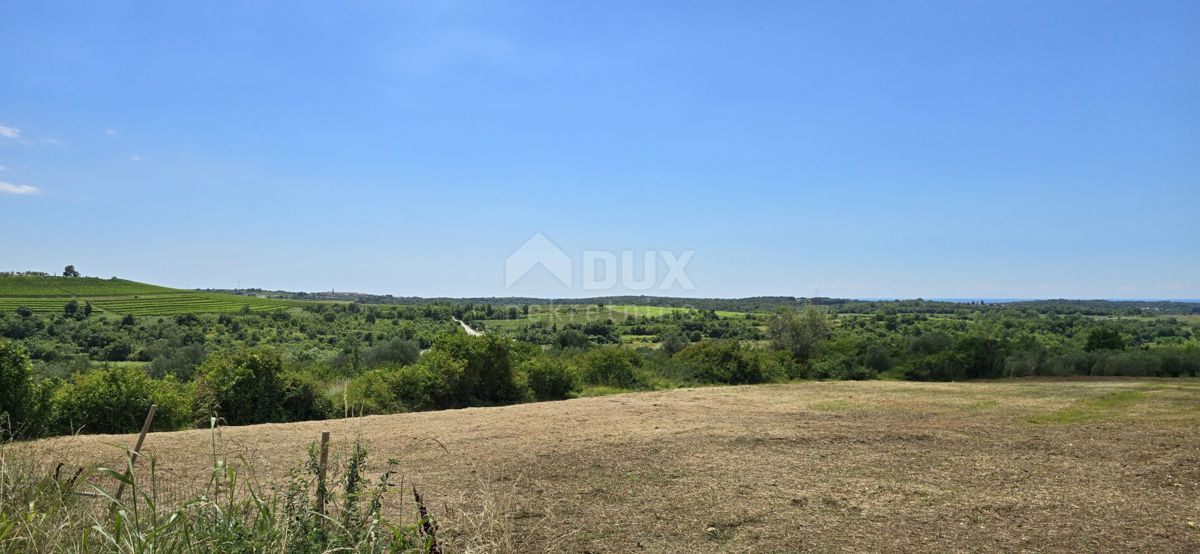 ISTRIA, BUJE - Terreno edificabile ai margini della zona edificabile, vista panoramica