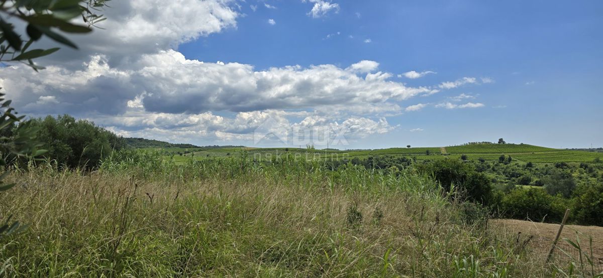 ISTRIA, BUJE - Terreno edificabile ai margini della zona edificabile, vista panoramica