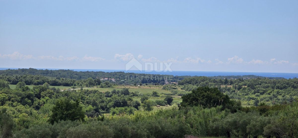 ISTRIA, BUJE - Terreno edificabile ai margini della zona edificabile, vista panoramica