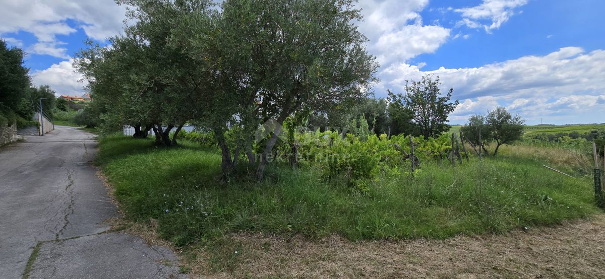 ISTRIA, BUJE - Terreno edificabile ai margini della zona edificabile, vista panoramica