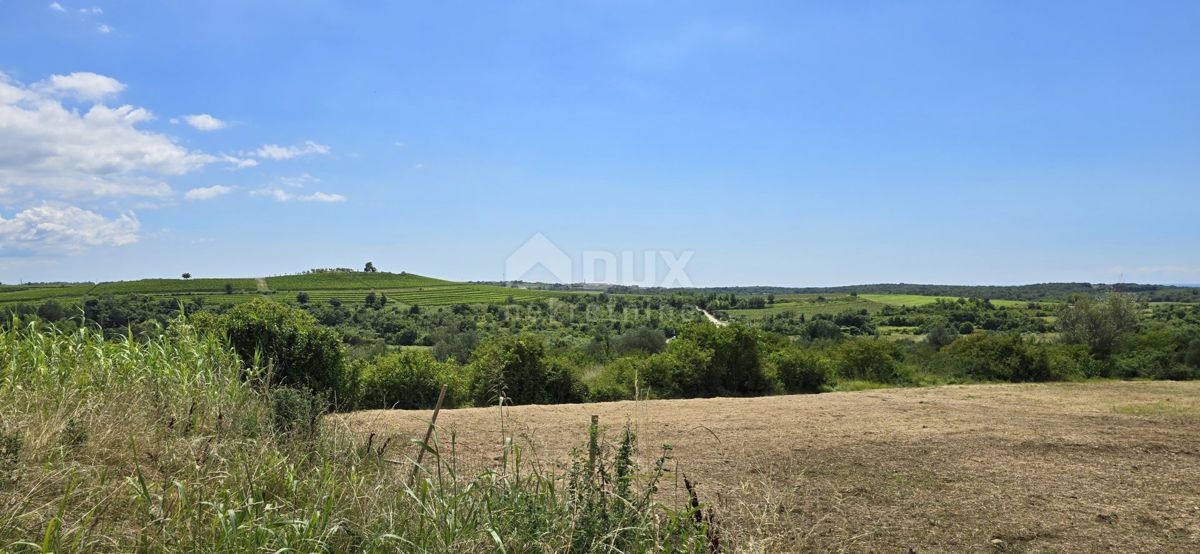 ISTRIA, BUJE - Terreno edificabile ai margini della zona edificabile, vista panoramica