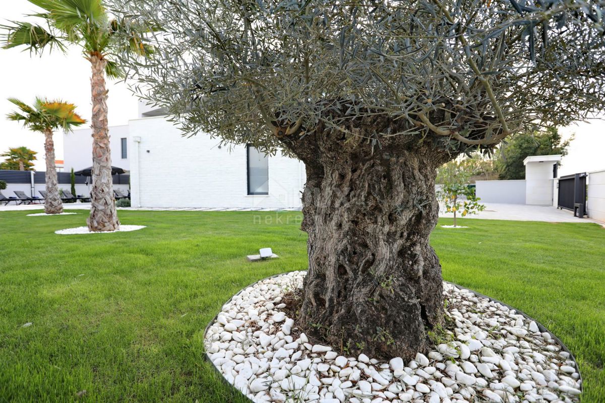 ZADAR, ZATON - Villa trasferibile e superbamente arredata con piscina riscaldata e ampio cortile